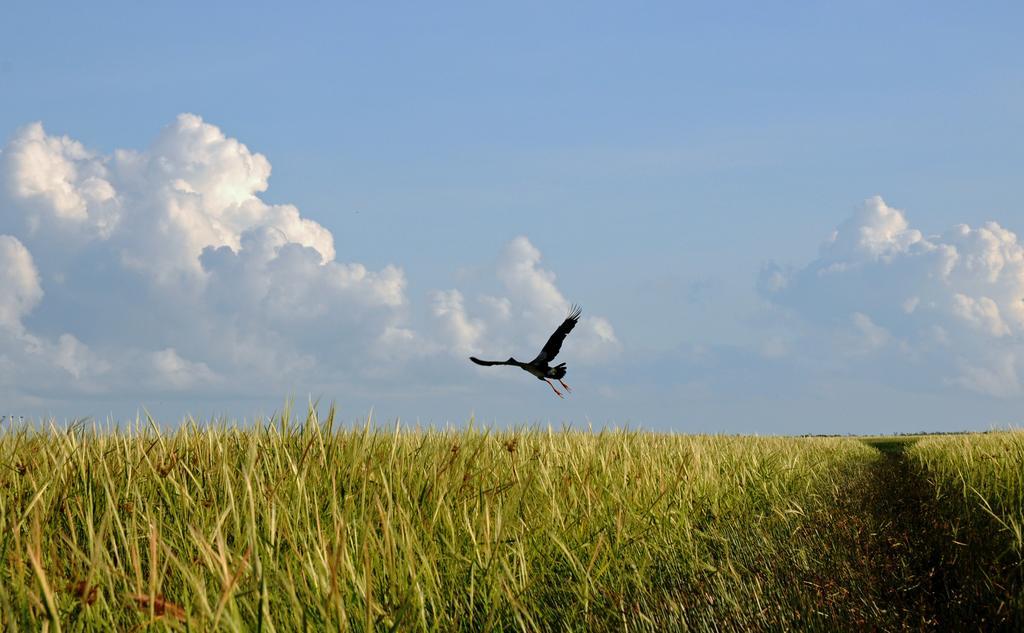 Bamurru Plains Point Stuart Exteriör bild